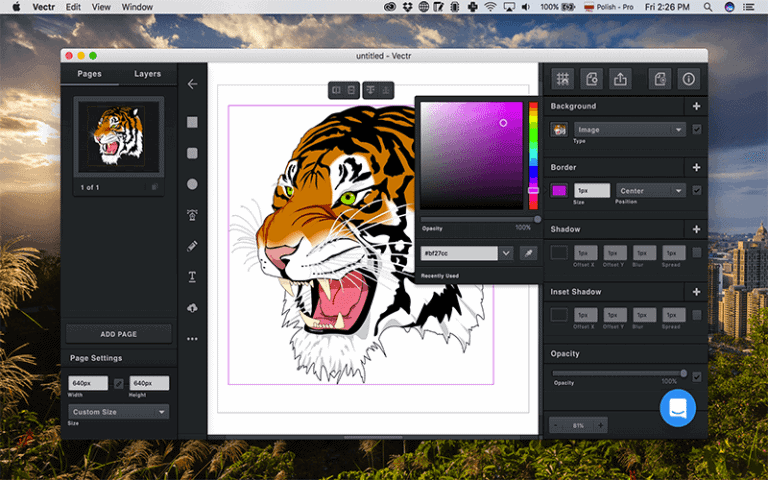 Top 10 Alternatives to Adobe Illustrator in 2017