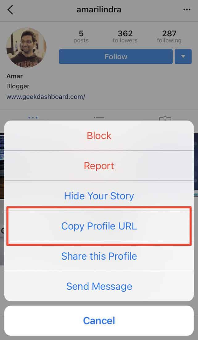 How to Download or View Instagram Profile Picture of Others in Full Size