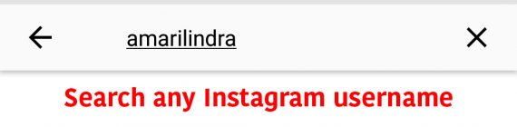 Search for any Instagram username