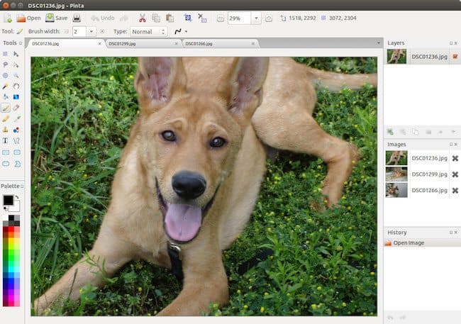 best free microsoft paint alternatives