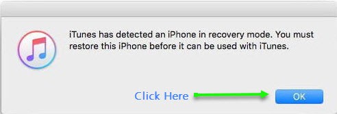 iphone has been detected in recovery mode