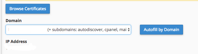 Click auto fill by domain