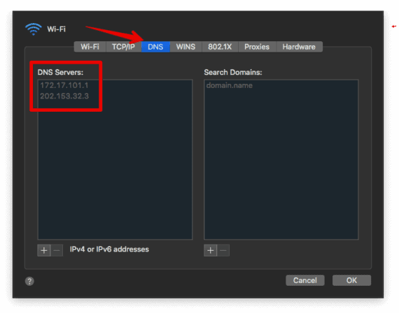 Finding DNS servers of Mac in Network Settings