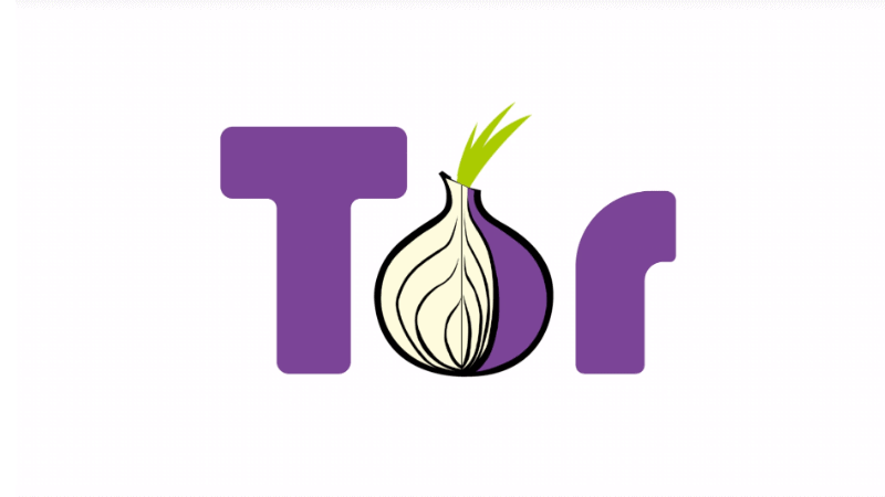 can you just download the tor browser to ur phone