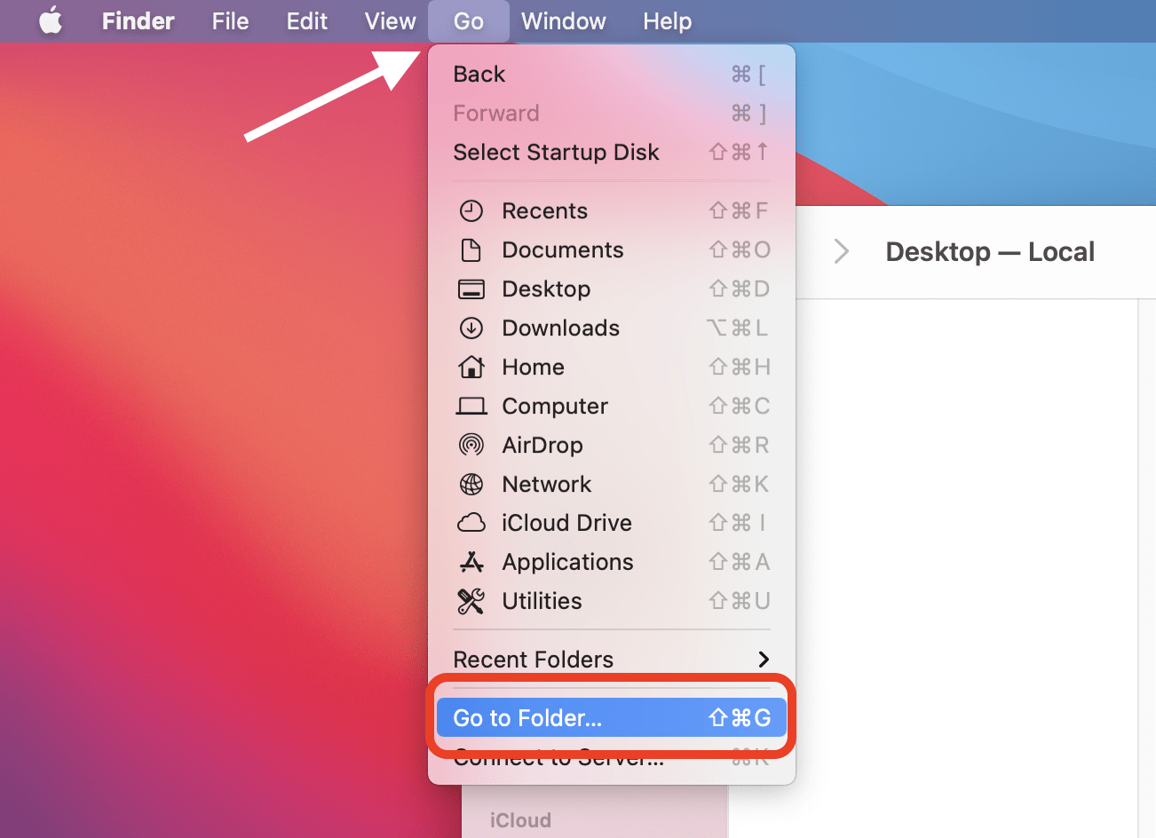 Go to Folder option in the Go Menu of Finder