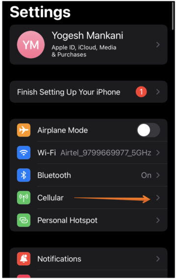 Toggle off Cellular Data