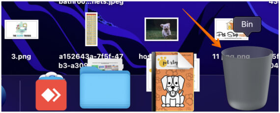 Click the Bin Icon on Dock