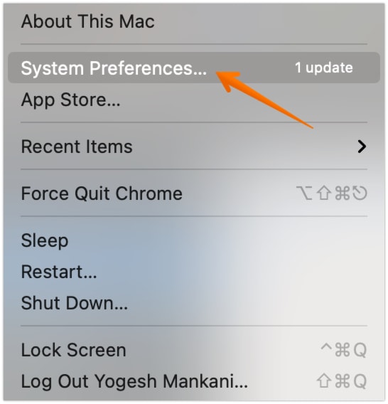 Select System Preferences