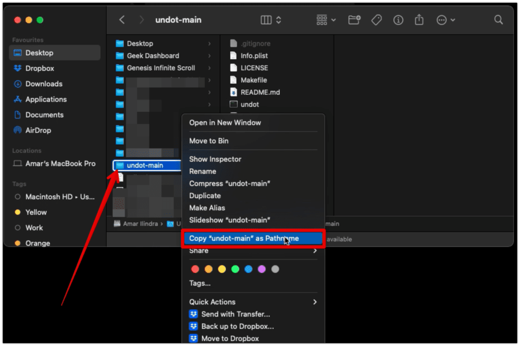 Copy Undot-main as Pathname