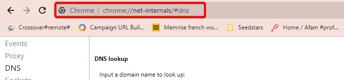 DNS flags in Google Chrome