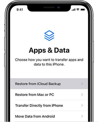 Restore from iCloud Backup