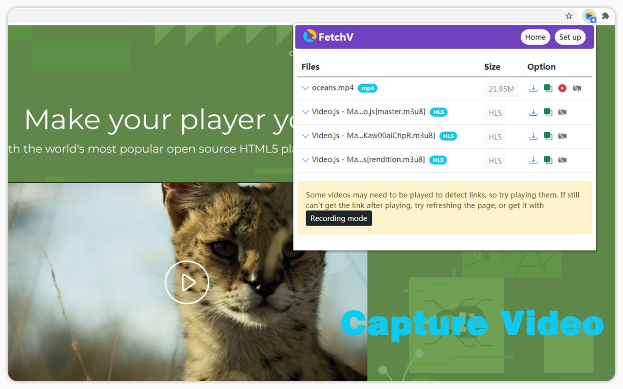 FetchV Video Downloader